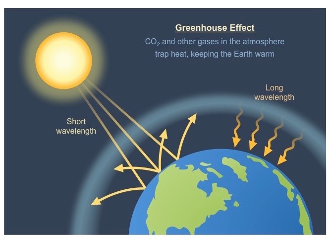 The greenhouse effect occurs when greenhouse gases trap light in the atmosphere. 
