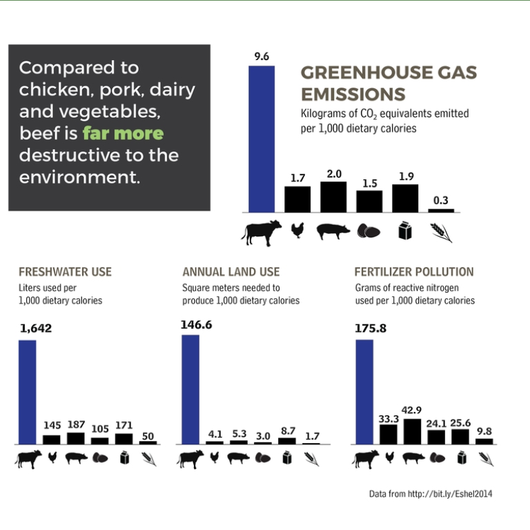 The case for veganism: An infographic comparing greenhouse gas emission, water use, land use of different food products.
