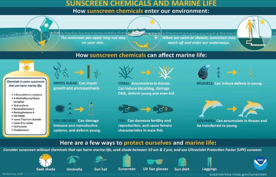The Impact of Sunscreen on Coral Reefs