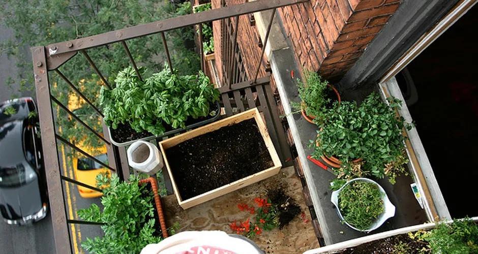 Off-the-grid living. Urban vegetable gardening.