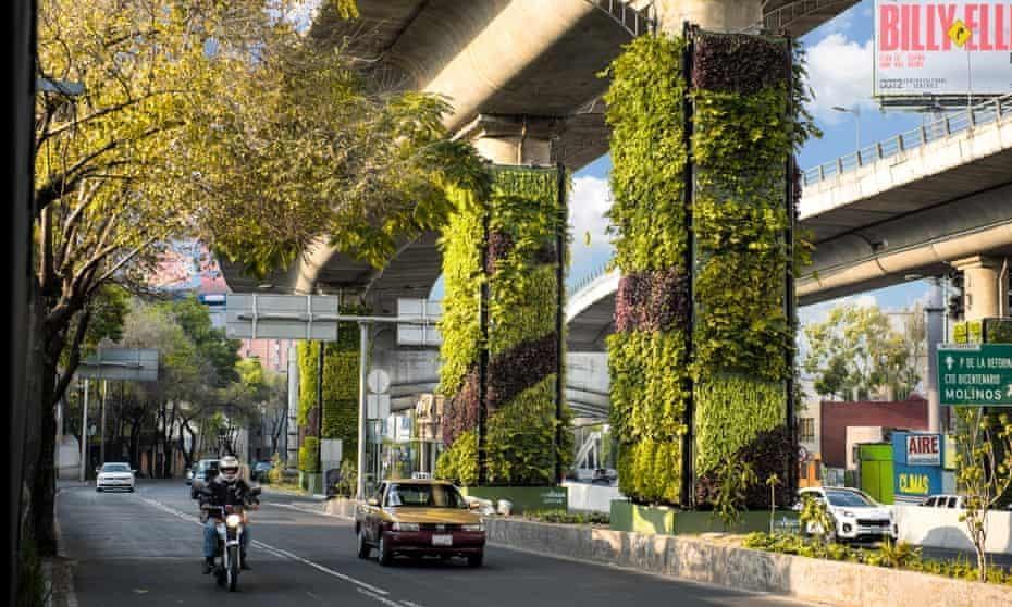 Green pillars help to reduce city pollution, increasing sustainability.