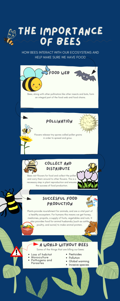 Infographic explaining the link between bee extinction and food production. 