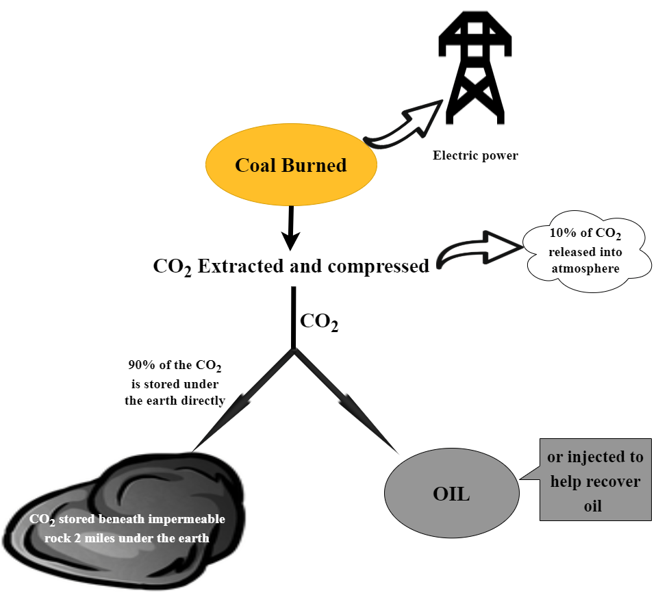 Infographic displaying how coal energy is produced