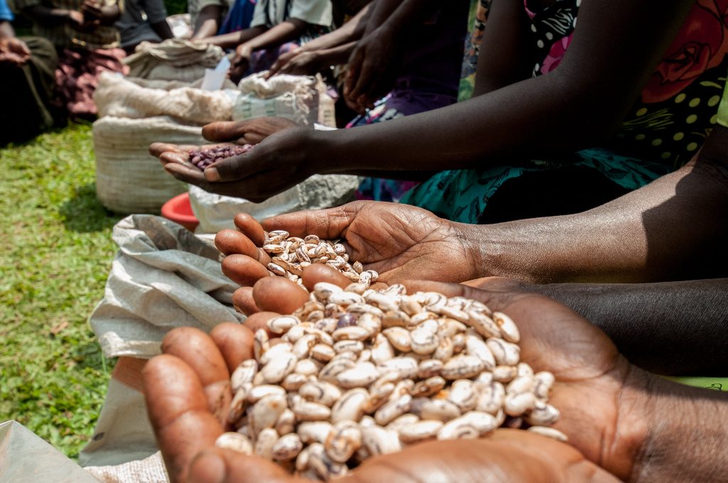 Crop diversity and resilient seeds help farmers facing climate change in Africa.