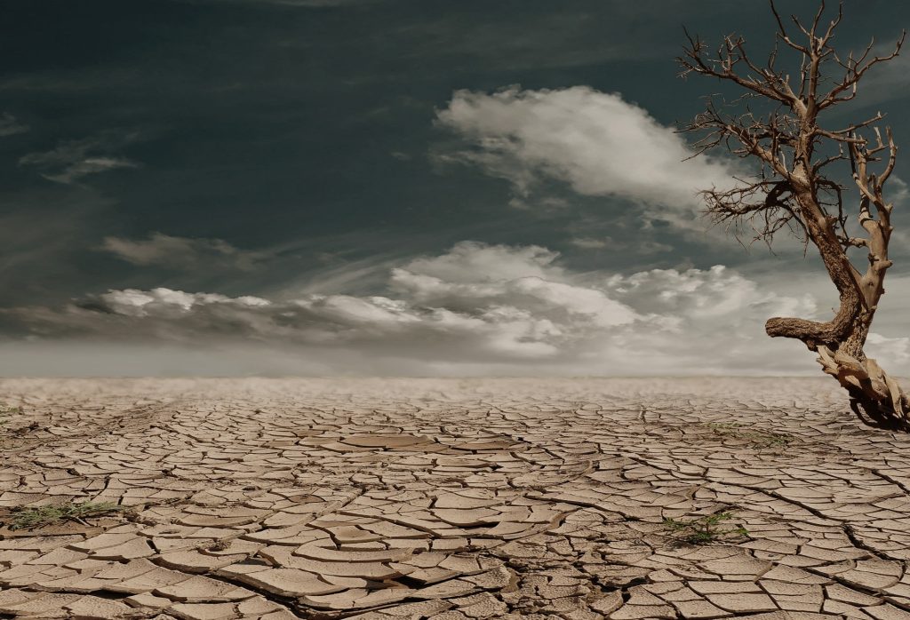 Climate change will lead to widespread drought in Africa.