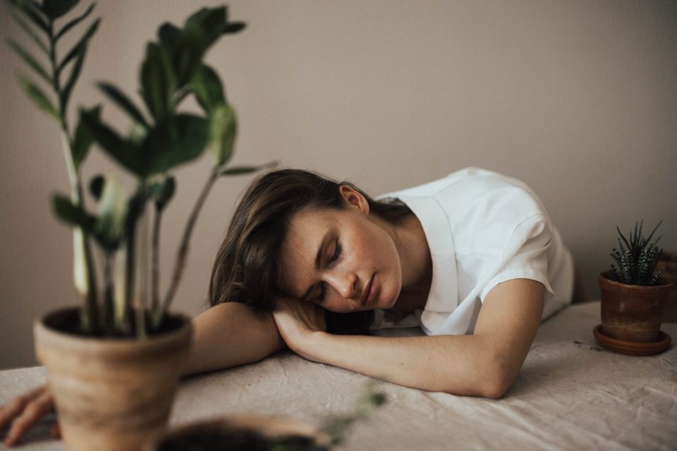 Do house plants help you sleep? Which indoor plants are good for health?
