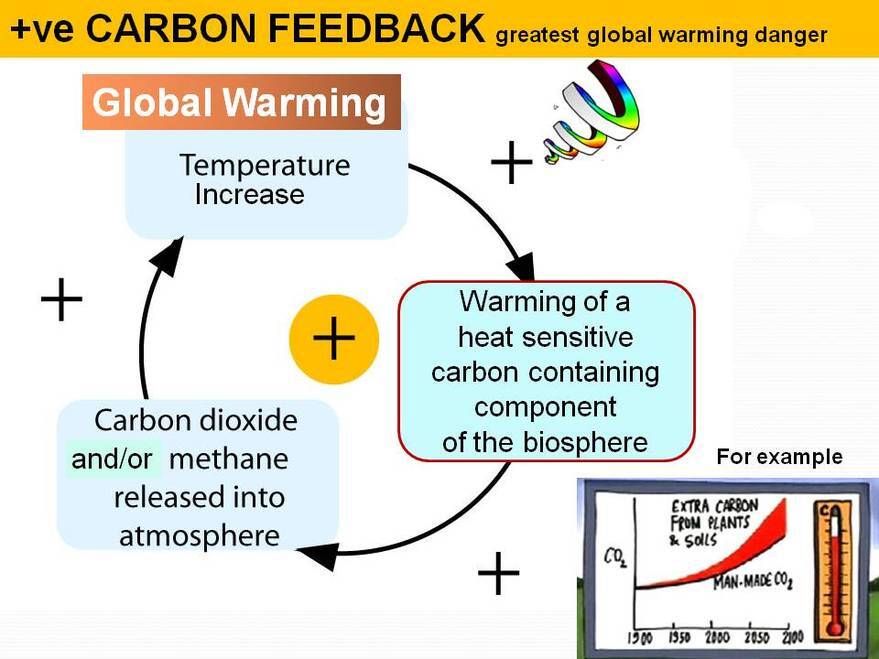 Diagram of the carbon feedback loop. One of the phenomena's impacted by the loss of permafrost. 