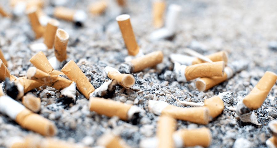 Discarded cigarette butts THRIVE