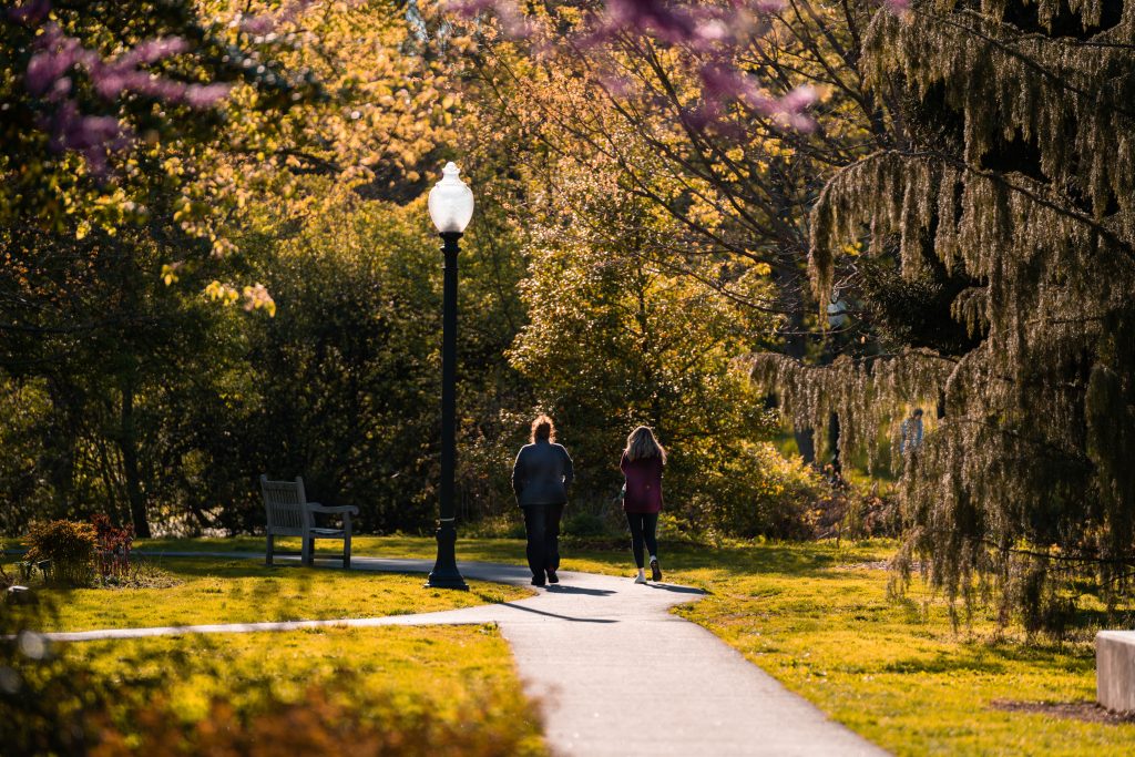 City parks encourage walking. 