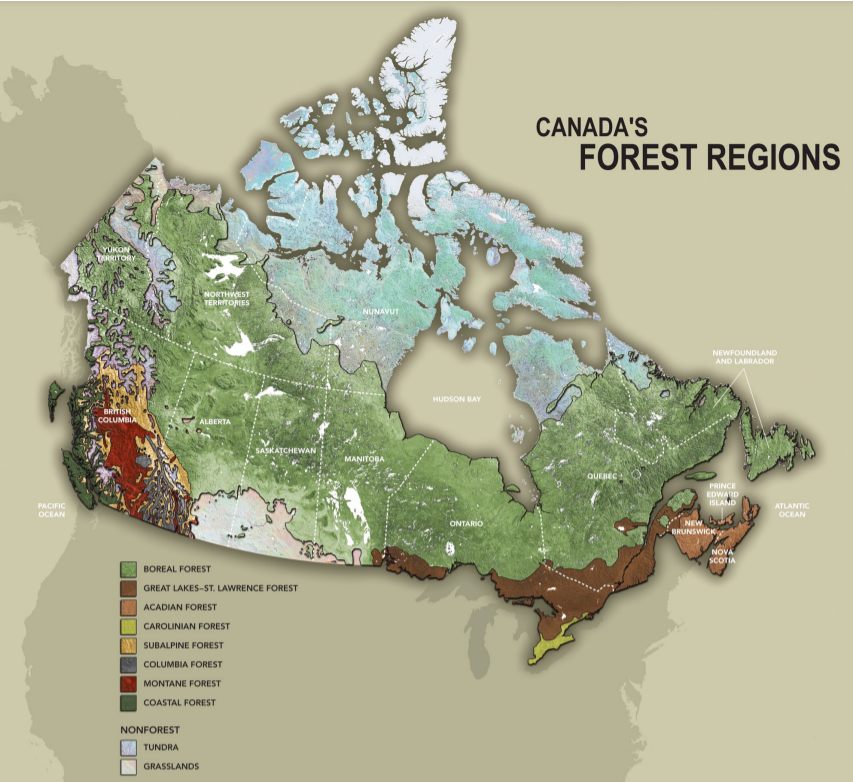 Map of Canada's forest regions