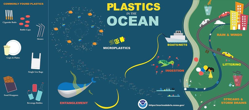 Microplastics in the sea are created from plastic pollution