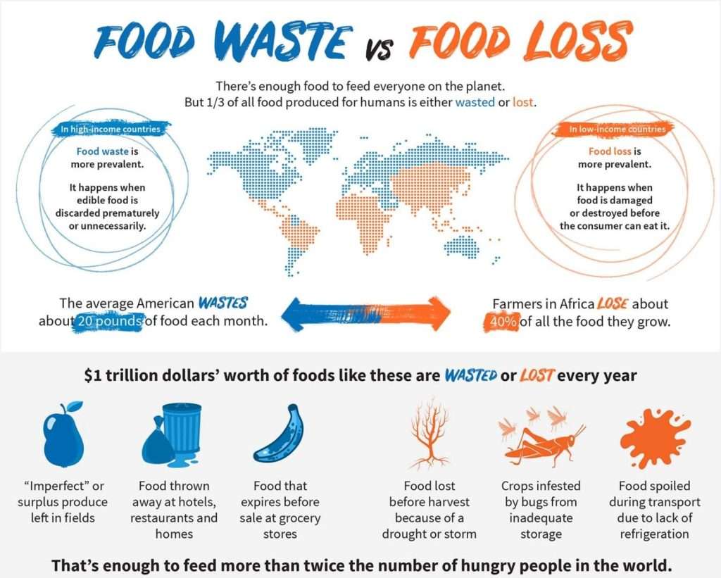 The facts on food waste tell us that there is enough food wasted or lost to feed the world's hungry people twice over.