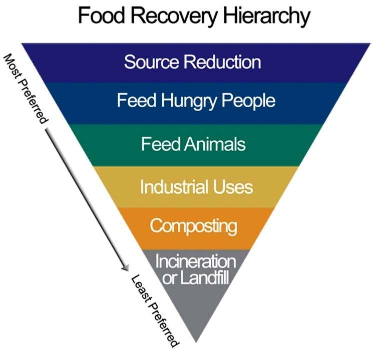 The food recovery hierarchy explains the facts on food waste in waste disposal.