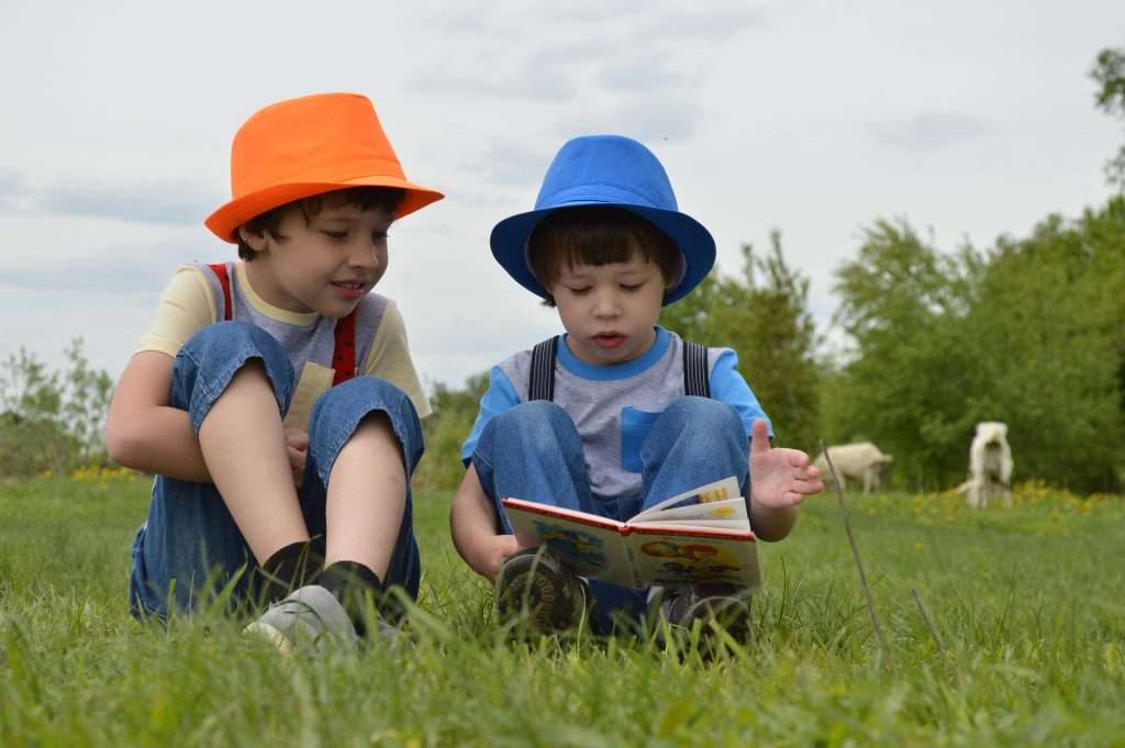 Reading and other forms of imaginative exercises are pivotal to social and emotional development. 