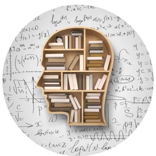 A wooden shelf shaped like a head and filled with books mounted on a whiteboard full of formula. Education is important. Ensuring you engage in thrivable voting on this subject means an educated population.