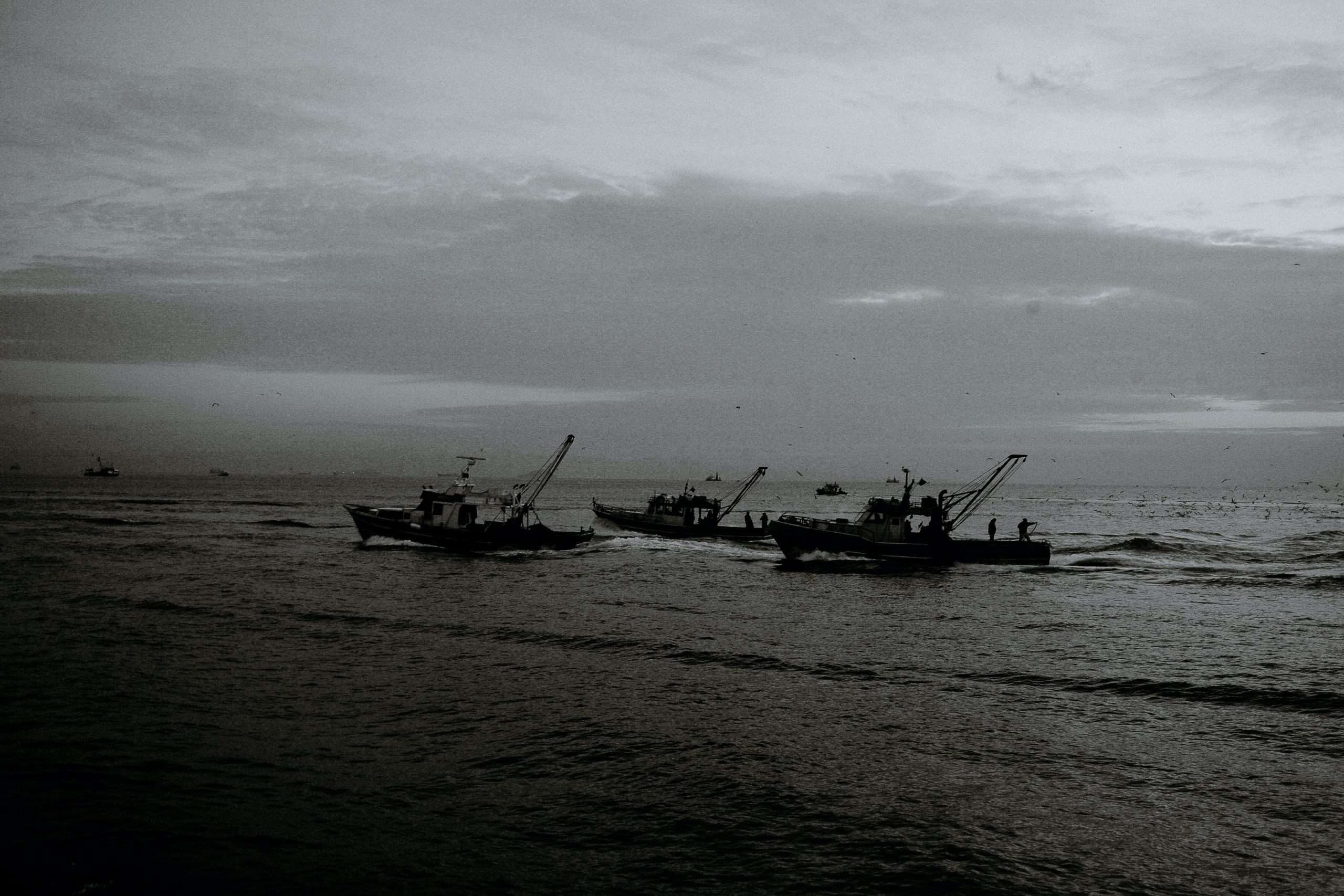 Trawling is frankly not a sustainable practice when it comes to how we source seafood.