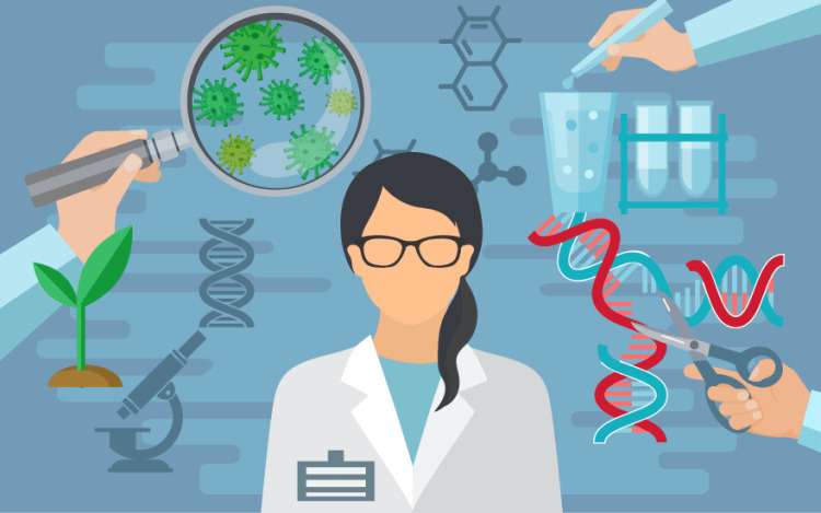 Biotechnology has a massive impact on human life and a wide range of branches and functions.