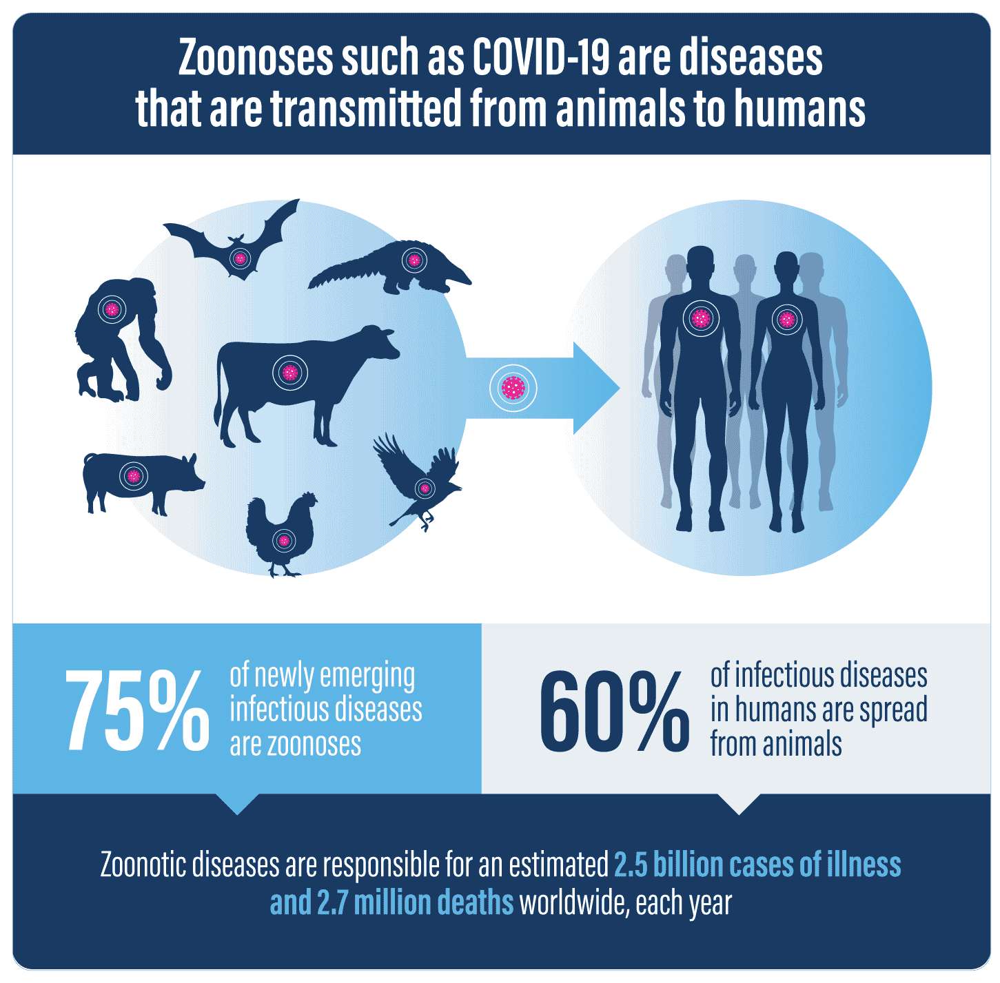 A majority of diseases spread in humans are due to zoonotic diseases.