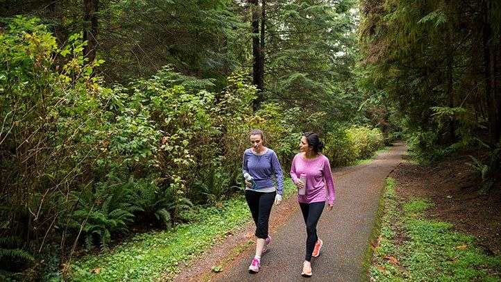 Taking a brisk walk in the forest helps increase overall human well-being.