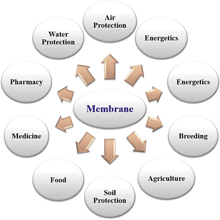 Basic membrane science and technology.