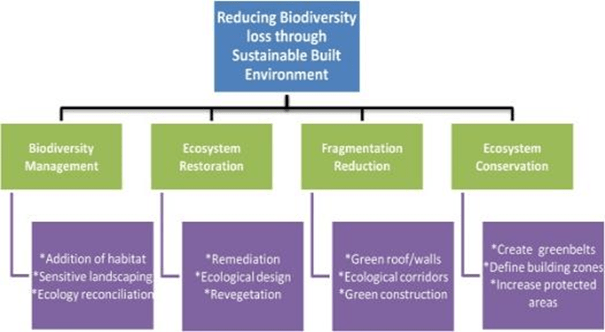 Diagram shows what actions can be taken to reduce biodiversity loss in order to sustain a thriving planet.