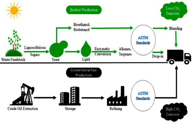Recent advances and viability in biofuel production have been promising.