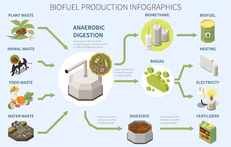 Biofuel basics: production infographics like this with types of organic waste create anaerobic digestion biogas usage with 3D isometric vector.