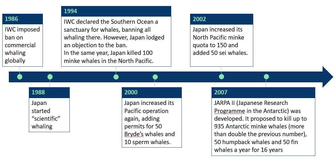 A timeline of "scientific" whaling in Japan.