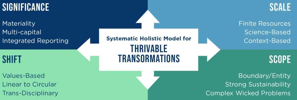 THRIVE Framework addresses complex wicked problems through The Systemic Holistic Model.