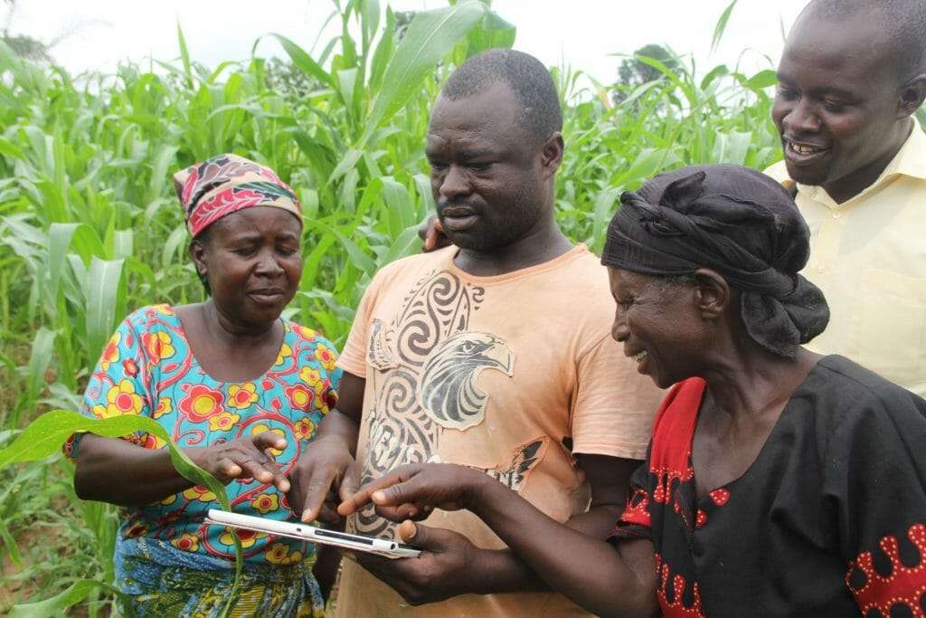 Fintech brings unbanked farmers into the banking ecosystem, enabling them to receive payments from virtually every corner of the world. 