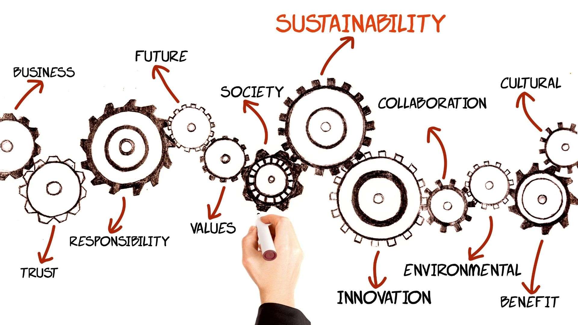 It is essential to focus on materiality in sustainability reporting as a key component of a more thrivable future.