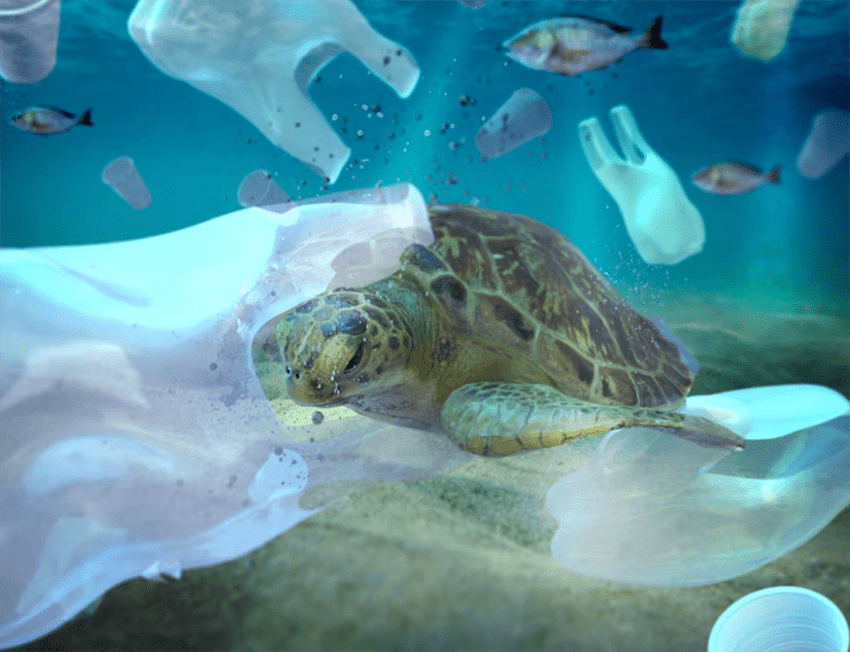 Image of turtle swimming amongst plastic pollution.