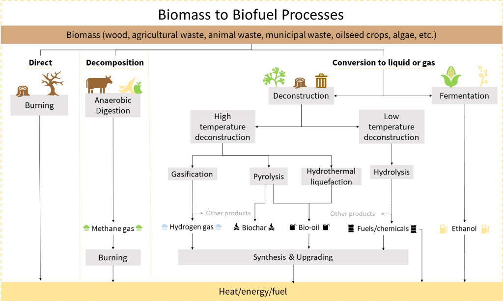 A variety of pathways to the creation of plant-based fuels.