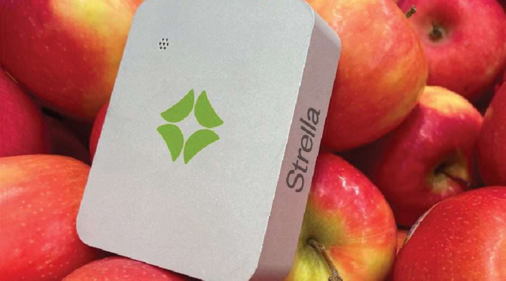 Strella uses sensors, IoT networks, and data analysis to interpret shelf life, picking up on the gases that fruits and vegetables emit before they change in quality. 
