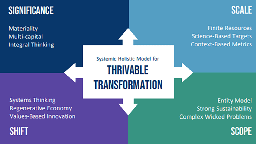 The Four Quadrants of the Systemic Holistic Model.